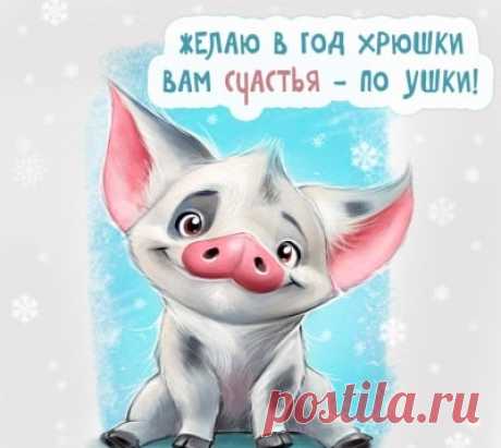 Прикольные Поздравления С Новым Годом 2019 (Свиньи) | Всё для праздника