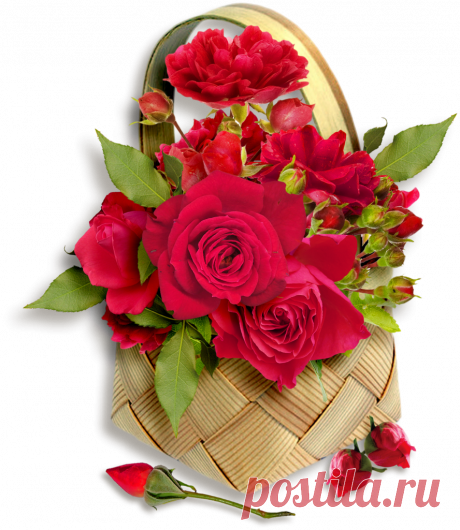 разные красивые детали на прозрачном фоне: 19 тыс изображений найдено в Яндекс.Картинках