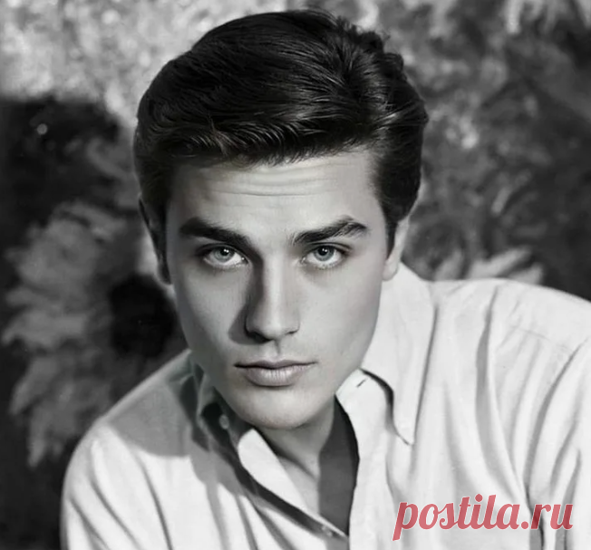 Женщины таких любят: 5 самых красивых российских актеров | Кино/Панорама | Дзен