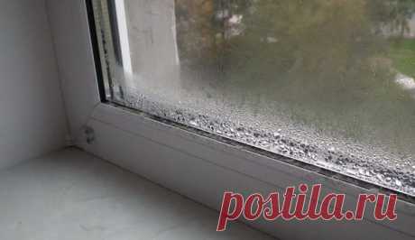 Вот как избавиться от конденсата на пластиковых окнах (видео)
