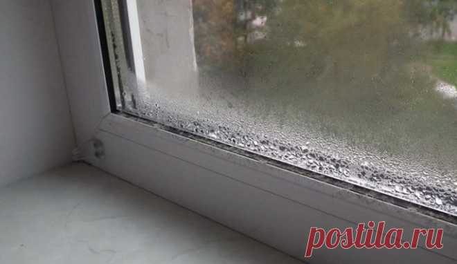 Вот как избавиться от конденсата на пластиковых окнах (видео)
