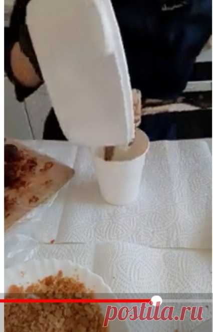 Скриншот-20-06-2025 09:52:51.jpg