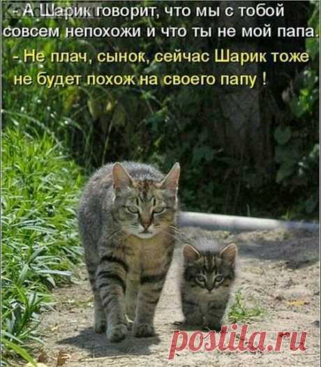 (82) Pinterest