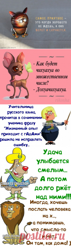 Позитивные фразочки в картинках (07.12.2018)