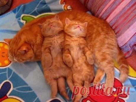 Мамины лучики)))