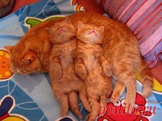 Мамины лучики)))