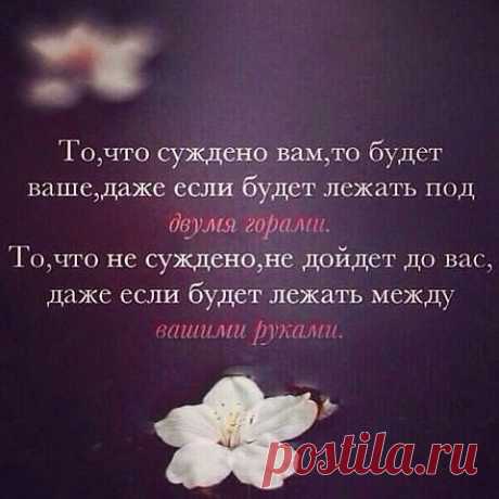 ВСЁ ЛУЧШЕЕ ИЗ YOU TUBE (16 плюс)
aleksander rafailov