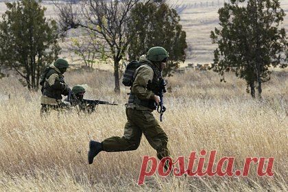Под Брянском задержали пилота упавшего украинского самолета. В Брянской области упал украинский самолет. Пилота воздушного судна задержали. Об этом в среду, 5 апреля, со ссылкой на погрануправление ФСБ сообщает издание РБК. По данным агентства, потерпевший крушение самолет относится к классу лекомоторных. Позже в сети появилось фото задержанного российскими силовиками пилота.