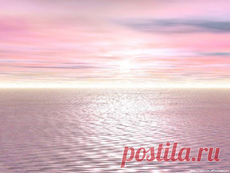 Розовый цвет