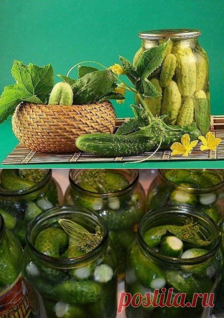 (41) Одноклассники