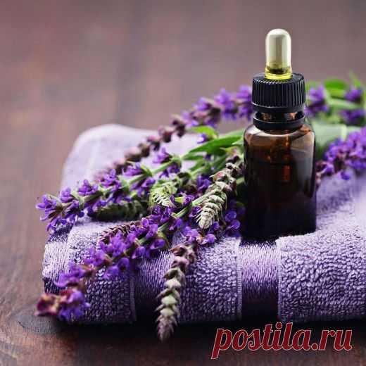 Это должна знать каждая женщина