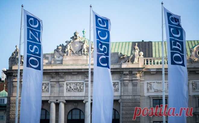 Россия назвала «одну очень простую, но важную» функцию ОБСЕ. Финляндия провела конференцию в честь 50-летия ОБСЕ. Россия в ней участвовала на уровне заместителя постпреда при организации. Глава российской делегации Максим Буякевич рассказал РБК, в чем Москва видит главную задачу организации