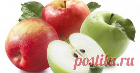 Самые полезные продукты осени — Полезные советы