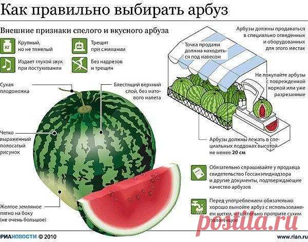 Как правильно выбрать арбуз - Простые рецепты Овкусе.ру