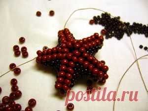 МОРСКАЯ ЗВЕЗДА ИЗ БИСЕРА, УКРАШЕНИЯ ИЗ БИСЕРА СХЕМА БЕСПЛАТНО | Домоводство для всей семьи