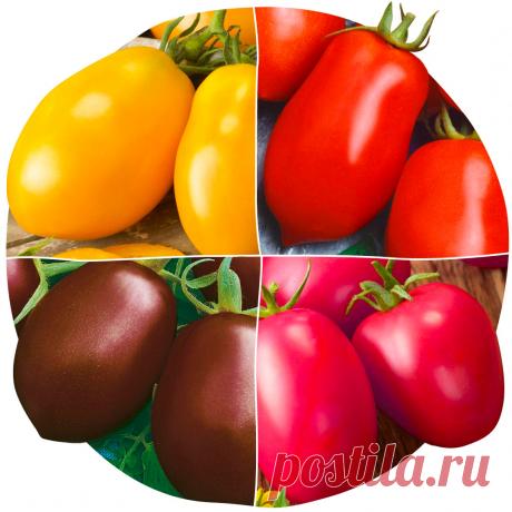 Сорт помидоров Де Барао − мой любимый универсальный сорт