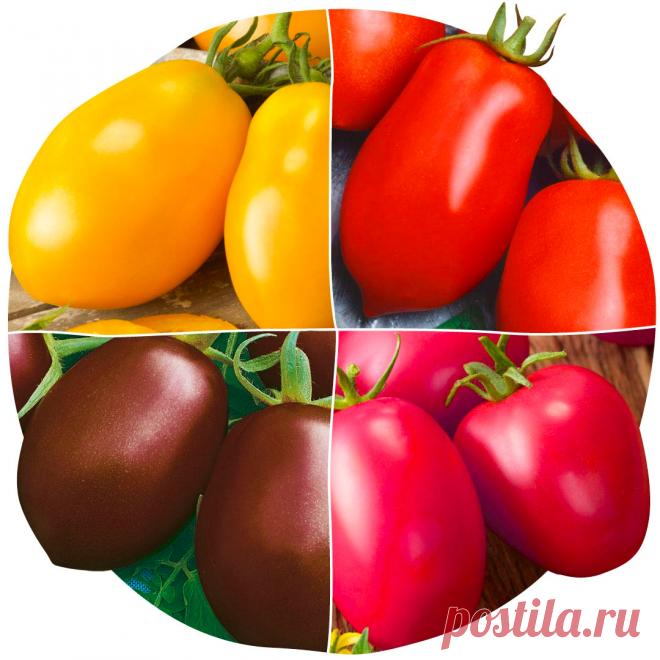 Сорт помидоров Де Барао − мой любимый универсальный сорт