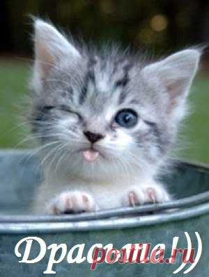 • Самые красивые фото ► vk.com/fotiko ◄