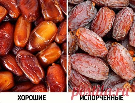 Как выбрать в магазине свежие и полезные продукты, а не ерунду / Домоседы