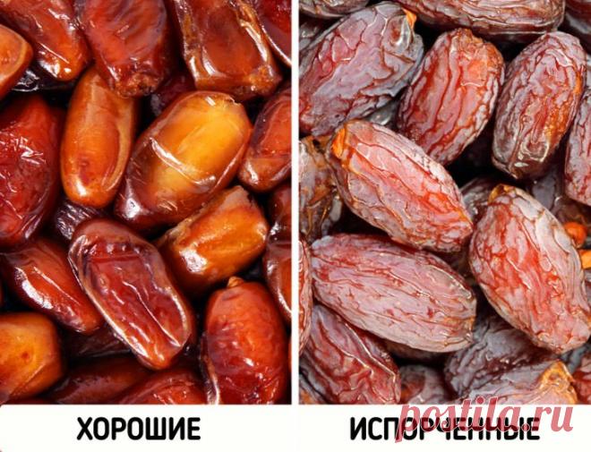 Как выбрать в магазине свежие и полезные продукты, а не ерунду / Домоседы