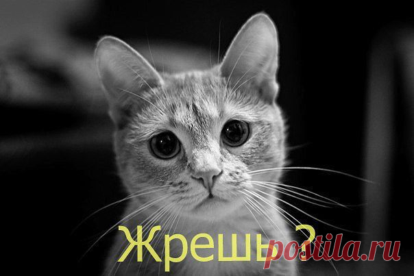 ВСЁ ЛУЧШЕЕ ИЗ YOU TUBE (16 плюс)
Слава Анисимов(н-ф)