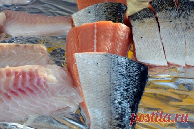 Рецепт дня: Галантин из рыбы - MagadanMedia Самым популярным деликатесным досугом в Магадане, по-прежнему, остается рыбалка. За лето магаданцы сварили литры различной ухи, испекли пирогов с всевозможной рыбой, приготовили морепродукты на гриле и сделали не один легкий ужин на пару. Но пришло время удивлять гостей, себя и свои рецепторы.