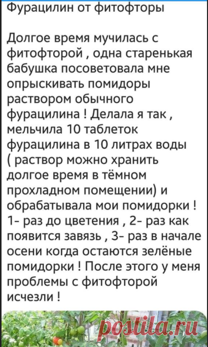 Как сделать своими руками? | ВКонтакте