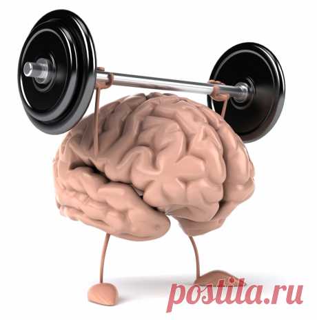 Что нужно делать каждый день, чтобы стать умнее?