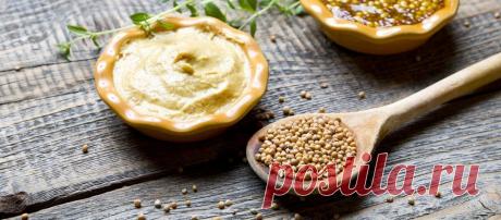 Горчица — свойства, польза и вред для организма человека