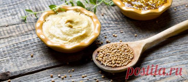 Горчица — свойства, польза и вред для организма человека