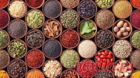 Здоровье в наших руках: Путеводитель по специям