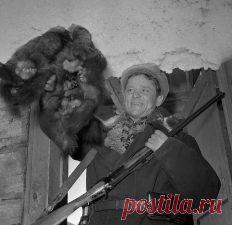 Редкий вид (рассказ) | Тайган | Дзен