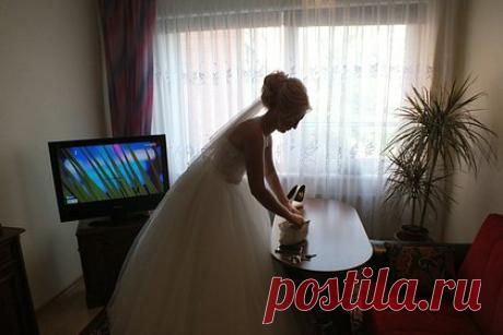 Названа минимальная стоимость свадьбы в России. В текущем году свадьба обойдется россиянам как минимум в 47 130 рублей. В затраты входит покупка свадебных нарядов, двух обручальных колец, букета невесты и бутылки шампанского. По сравнению с прошлым годом расходы на мероприятие выросли на 5 процентов. В то же время число продаж свадебных платьев и костюмов снизилось.