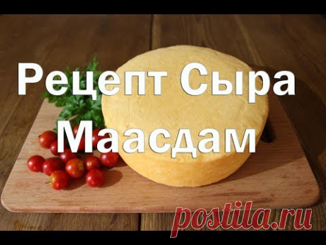 Рецепт сыра Маасдам , Как приготовить в домашних условиях , полный рецепт