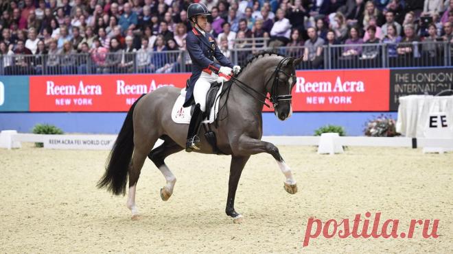 15.08.16.  Победительница Шарлотта Дюжарден  набрала 93,857 балла. Второе место у немки Изабеллы Верт – 89,071 балла. Кристина Брёринг-Шпрехе из Германии с результатом 87,142 балла стала третьей. Наездницы из России Инесса Меркулова и Марина Афрамеева остались вне решающего раунда соревнований.  |  Шарлотта Дюжарден с конем Валегро стали олимпийскими чемпионами в личной выездке - Рио 2016 - Выездка - Eurosport