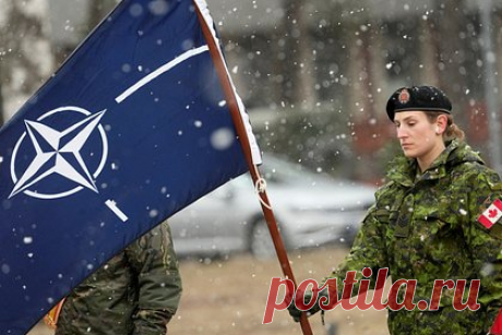 Депутат обвинил Европарламент в замалчивании неудобной правды о НАТО и США. Европарламент пытается заставить замолчать противников поставок оружия Киева и намеренно умалчивает правду о конфликте. В этом его обвинил депутат ЕП Мик Уоллес в своем Twitter-аккаунте. «Разжигателям войны в Европарламенте неудобно говорить правду о глупой прокси-войне США и НАТО», — написал он.