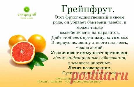 Грейпфрут