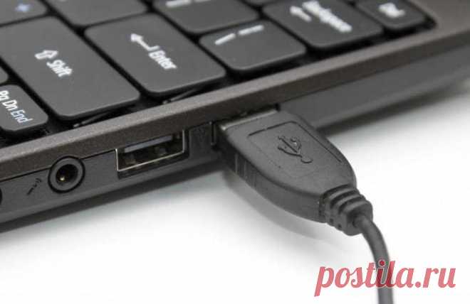 Что делать, если ноутбук не видит USB мышь – 7 шагов решения на ОС Windows 10