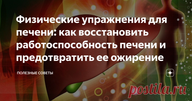 Физические упражнения для печени: как восстановить работоспособность печени и предотвратить ее ожирение 
Болезни печени входят в топ самых распространенных проблем со здоровьем. Плохая экология, неправильное питание, гиподинамия и постоянные стрессы накладывают серьезный отпечаток на работу этого органа. Помимо медикаментозного поддержания печени и фитотерапии, существует эффективный комплекс упражнений. Он позволяет контролировать состояние печени и