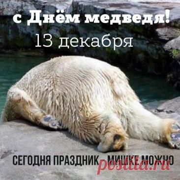 С Днём медведя! Пусть твоя жизнь будет такой же мощной и величественной, как этот символ нашей страны. Желаю тебе находить уют и тепло в любой ситуации, как медведь в берлоге. Открытки на День медведя!