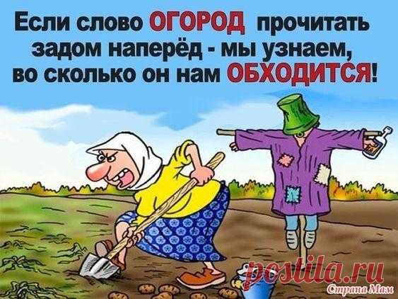 Большая утренняя подборка анекдотов и смешных картинок Настал новый день, и этот факт уже сам по себе позитивный и радостный. Но если вы еще не успели проснуться и осознать, какой сегодня прекрасный день, наша свежая позитивная подборка вам должна помочь....