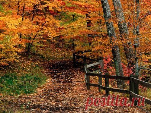 Красочные обои "Осень" на рабочий стол