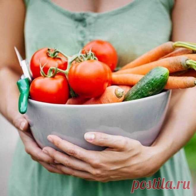 Продукты питания для улучшения работы мозга / Будьте здоровы