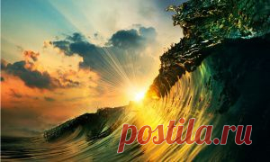 Комментарии к статье: Что будет, если пощекотать пингвина