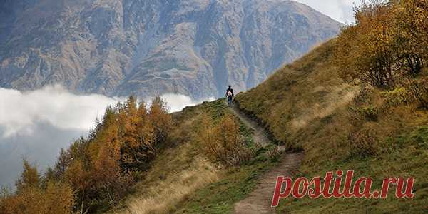 Повороты жизненных дорог