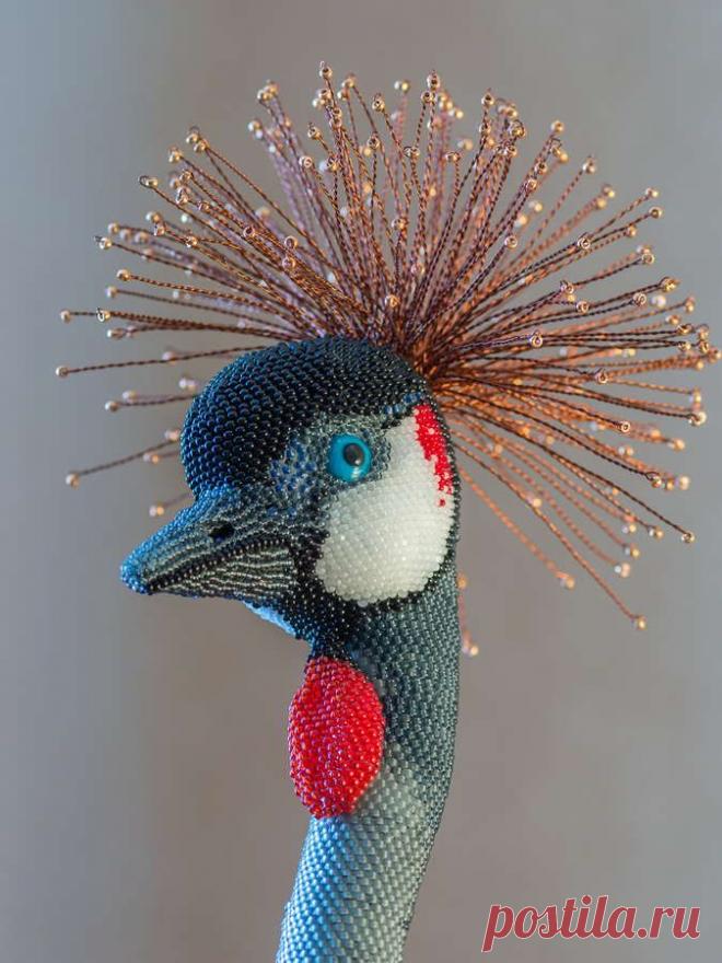 Журавль венценосный | biser.info - всё о бисере и бисерном творчестве