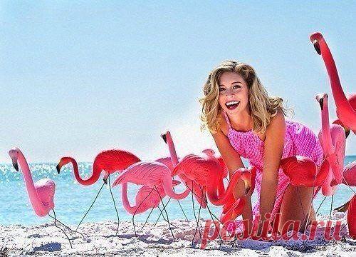 (21) Одноклассники