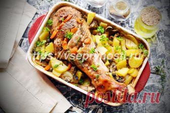 Запеченная голень индейки с грибами и картофелем - рецепт с фото Запечь голень индейки вкусно, не составит труда, если вы возьмете на заметку наш рецепт.   Запеченная голень индейки - пошаговый рецепт.