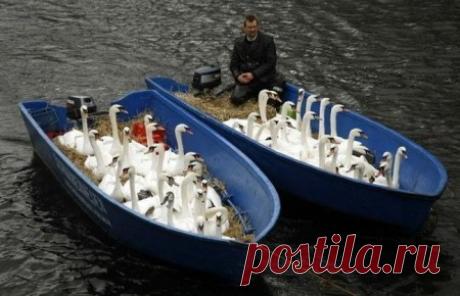 Фотографии $Mavlet$ $ - 821 фото в Моем Мире.