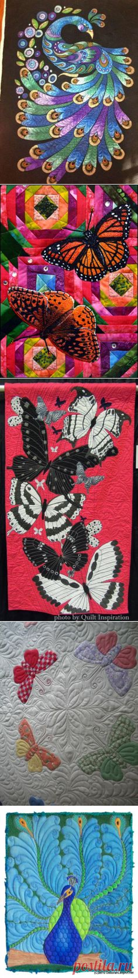 (193) Quilt Art | ... up, Anastasia butterflies in Flights of Fancy quilt by Sheril Drummond | QUILTING